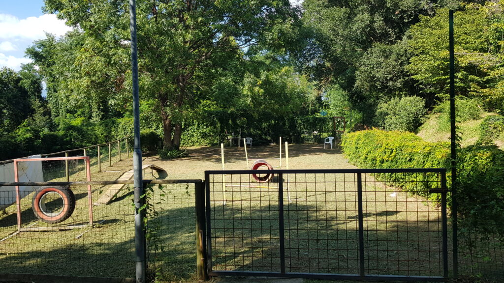 campo piccolo1
